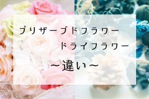 プリザーブドフラワーとドライフラワーの違い